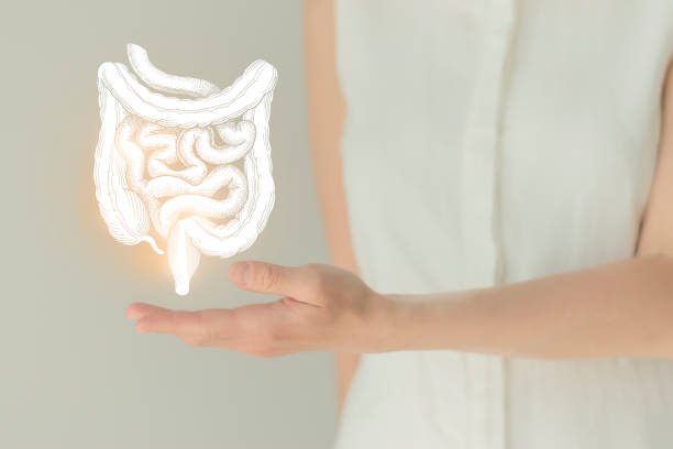 Woman in white clothes holding virtual intestine in hand. Handrawn human organ, detox and healthcare, healthcare hospital service concept stock photo stock photo