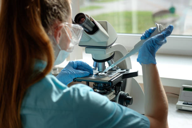 woman laborant working with microscope holding automatic pipette stock photo