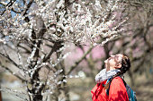 梅の花の木を見上げる女性