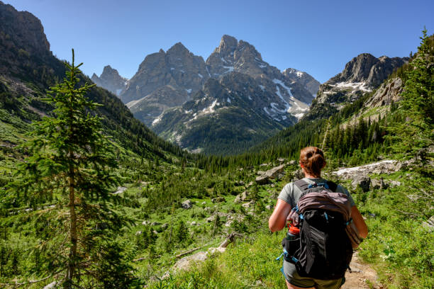 Woman Looks Out Over Tetons Wilderness stock photo