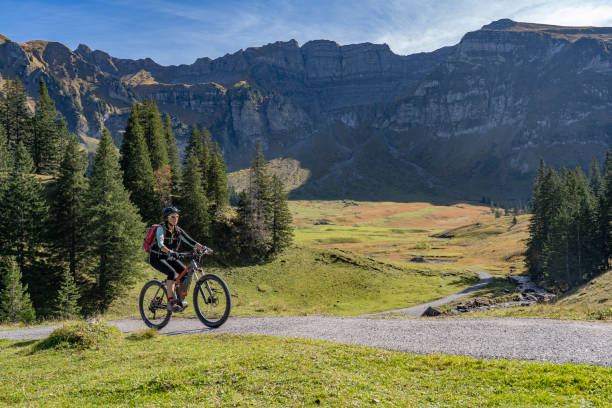 kobieta na rowerze elektrycznym w bregenz wald, austria - wald zdjęcia i obrazy z banku zdjęć