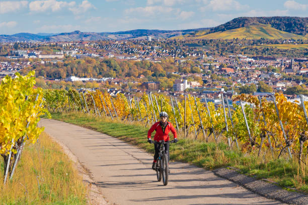 Woman on electric mountain bike in autumnal vineyard nice senior woman riding her electric mountain bike in autumnal colored vineyards above the German city of Stuttgart, Baden-Wuerttemberg, Germany baden württemberg stock pictures, royalty-free photos & images