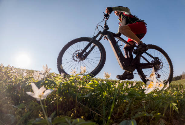 Woman on Mountain bike with blooming flowers pretty senior woman riding her electric mountain bike in early springtime in the Allgau mountains near Oberstaufen, in warm evening light  with blooming spring flowers in the Foreground allgau alps stock pictures, royalty-free photos & images