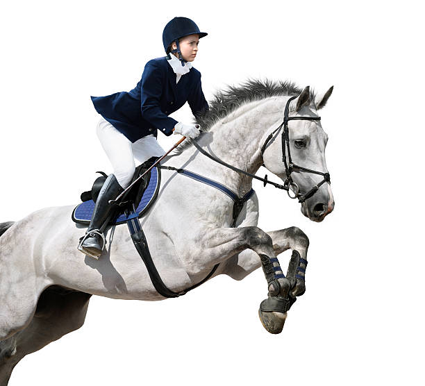 woman on white horse leaping on white background  - hinder häst bildbanksfoton och bilder
