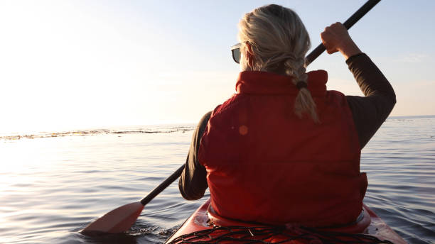 kvinna paddlar kajak vid soluppgången - woman kayaking bildbanksfoton och bilder
