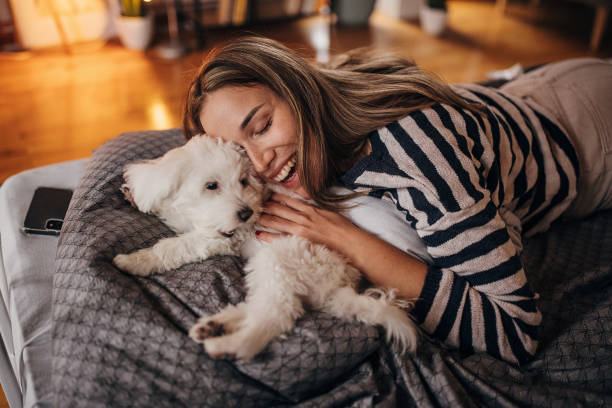 Woman playing with puppy stock photo