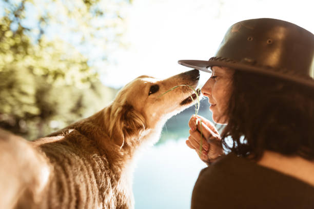 woman playing with the dog in the mountain woman playing with the dog in the mountain expedition watch from which country stock pictures, royalty-free photos & images