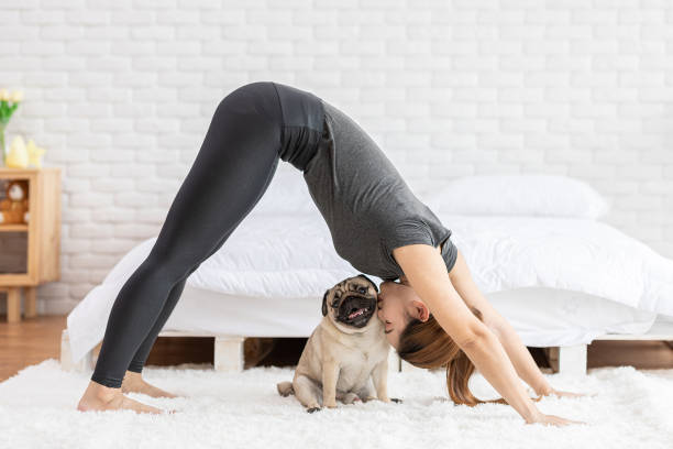 女性練習ヨガ下向きの犬やヨガアドホムカスヴァナサナは瞑想にポーズをとり、彼女の犬のパグの品種にキスを楽しみ、寝室でヨガでリラックス、犬の概念とレクリエーション - yoga ストックフォトと画像