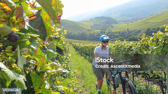 istock Woman pushes mountain bike up through vineyard 1351060267