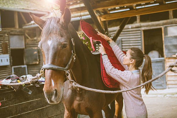 woman putting saddle on her horse - clean saddle bildbanksfoton och bilder