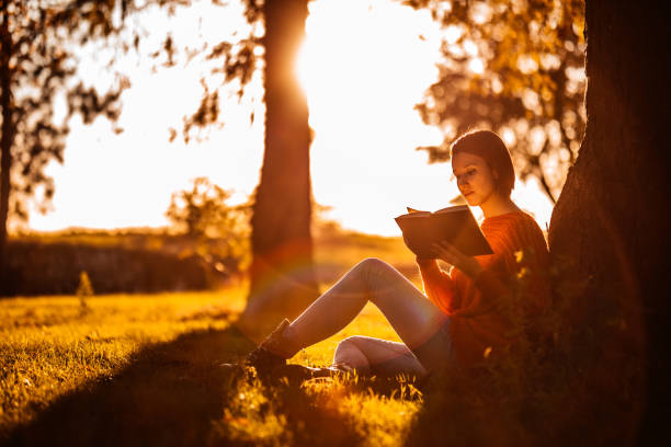 Woman reading book under tree Beautiful young woman reading book under tree in public park. golden hour stock pictures, royalty-free photos & images