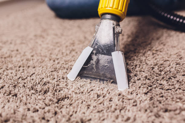 Woman removing dirt from carpet with vacuum cleaner in room. stock photo