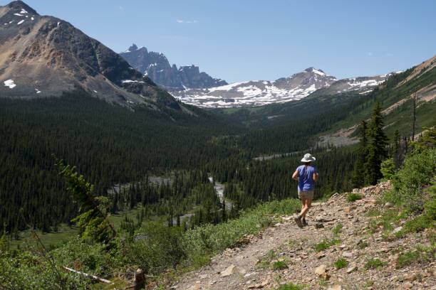 During our July, 2017 trip, my wife and I ran along the rocky Portal Creek Trail towards the jagged wall of the 3,112 meter high Mount Erebus in the distance.