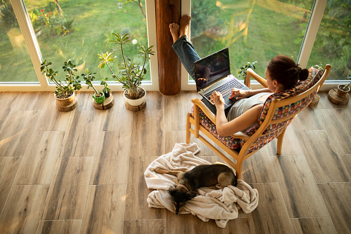Woman working from home. She is sitting on armchair on her terrace with view on beautiful backyard and using laptop. Little doge is lying beside her on soft blanket.\nPhoto on the screen is my own photo also available in my portfolio with id #843622498
