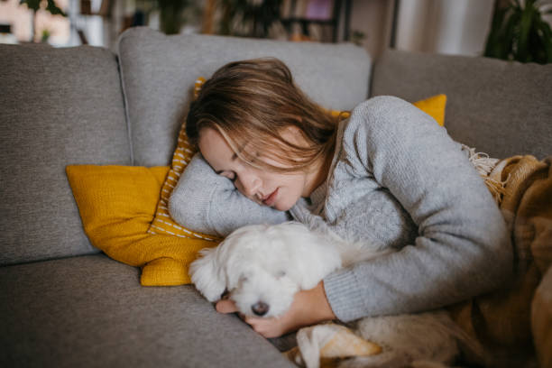 Woman sleeping with puppy stock photo