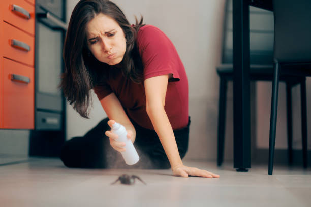 Woman Spraying with Insecticide Over an Ant on the Kitchen Floor stock photo