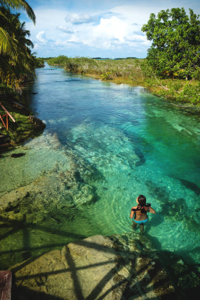 Woman swimming in lagoon vertical in Bacalar, Quintana Roo, Mexico stock photo
