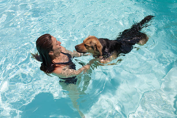 Woman Swimming With Dog stock photo