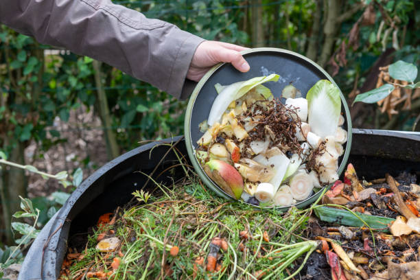 Woman throwing compost with kitchen waste Woman throwing compost with kitchen waste compost stock pictures, royalty-free photos & images