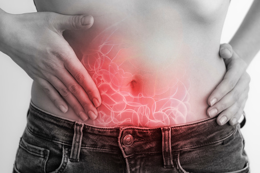 structure of the intestine