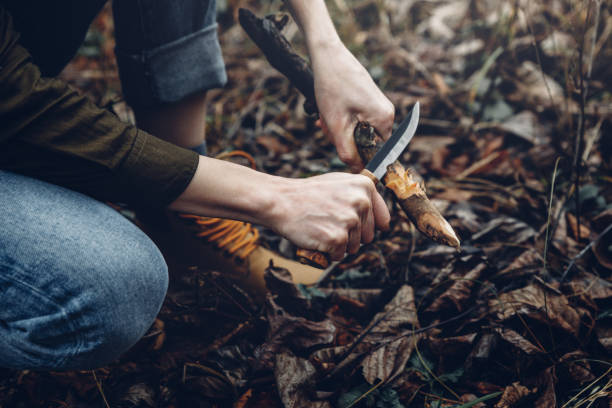 Woman Traveler Plane Knife With Wooden Stick, Hands Close-up. Bushcraft Survival And Scouting Concept Woman Traveler Plane Knife With Wooden Stick, Hands Close-up. Bushcraft Survival And Scouting Concept bushcraft stock pictures, royalty-free photos & images