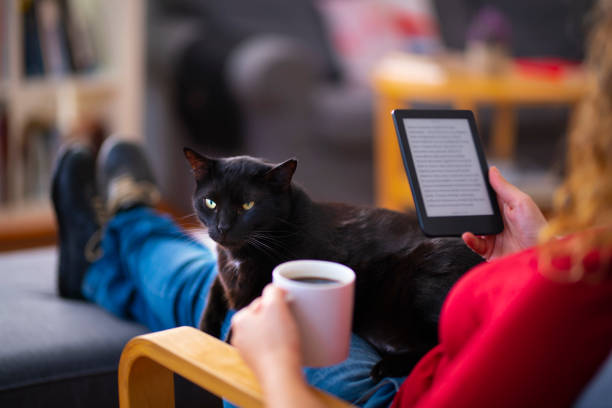 woman using an e-reader and reading an e-book with her cat at home - book cat imagens e fotografias de stock