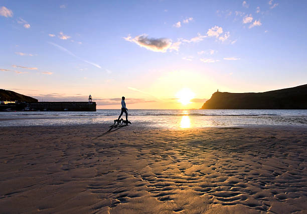 Woman walking dogs on a Beach during sunset Woman walking dogs on a Beach during sunset in Port Erin on the Isle of Man early morning dog walk stock pictures, royalty-free photos & images