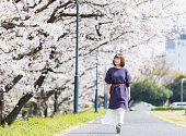 桜並木を歩く女