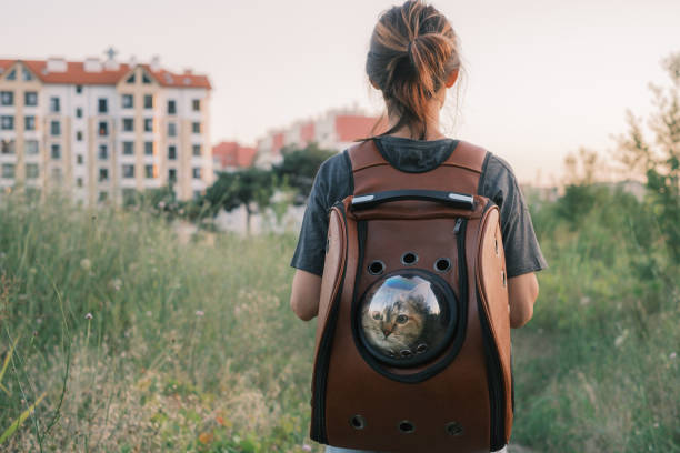 Woman walking with cat in pet backpack in the city. stock photo