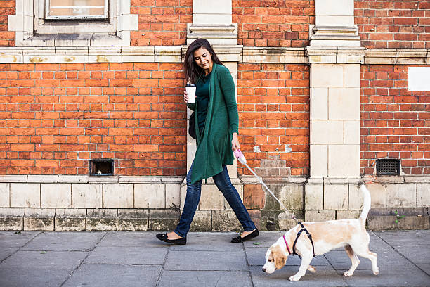 Woman walking with dog in early Sunday morning in London Happy woman walking with dog in early Sunday morning in London, Notting Hill. sunday morning coffee stock pictures, royalty-free photos & images