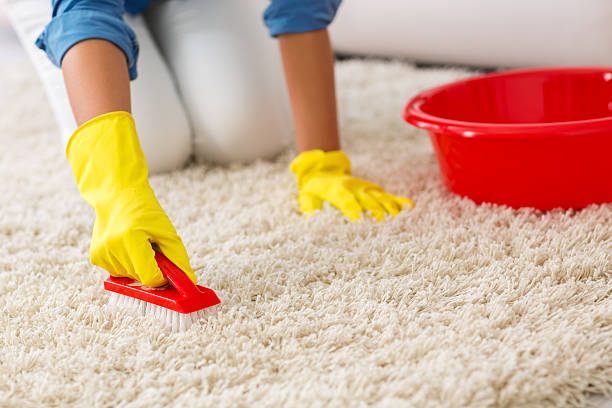 Woman washing carpet with brush Woman washing carpet with brush at home Carpet cleaning stock pictures, royalty-free photos & images