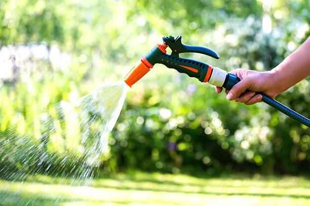 Woman watering garden with a hose sprayer stock photo