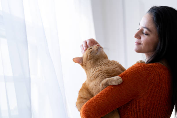Woman with cat at home stock photo