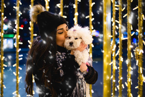 Woman with dog enjoying New Year eve Attractive young brunette woman enjoying in New Year eve outdoor. She holding sparkler and her adorable Jack Russel terrier dog. happy new year dog stock pictures, royalty-free photos & images