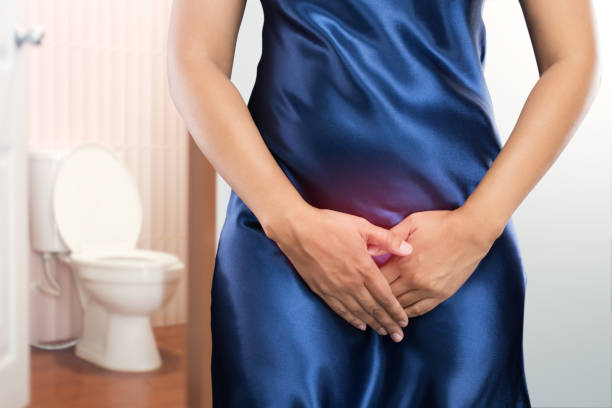 Woman with prostate problem in front of toilet bowl. Lady with hands holding her crotch, People wants to pee - urinary incontinence concept stock photo