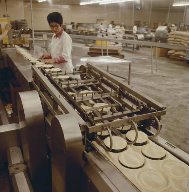 Woman working at food processing plant  20th century stock pictures, royalty-free photos & images