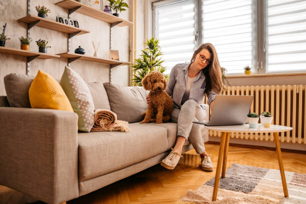 Woman working from home on laptop in company of her dog stock photo