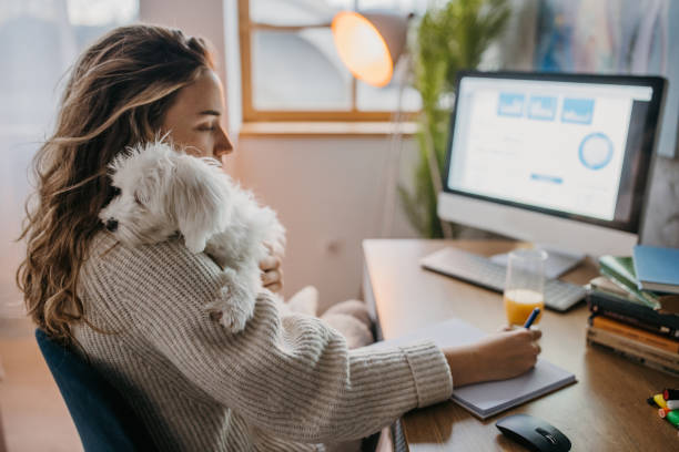 Woman working from home stock photo