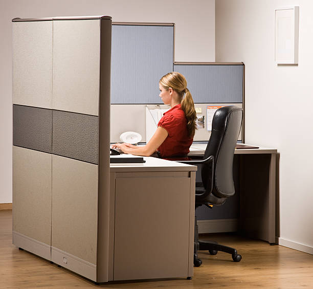 Woman working in a cubicle on her computer stock photo