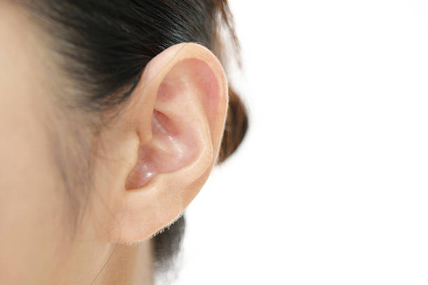 Woman's ear Closeup picture of woman's ear human ear stock pictures, royalty-free photos & images