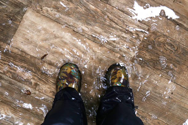 비닐 나무 바닥과 홍수 집에 서, 방수 부츠를 입고 여자의 발. - 손상 뉴스 사진 이미지
