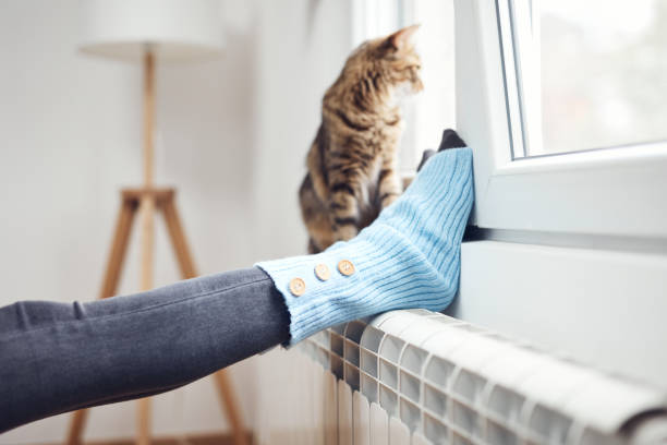 Woman's feet with woolen socks, domestic cat, enjoying inside home on the radiator. stock photo