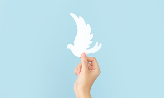 Woman's hand holding white paper dove bird on blue background, international day of peace or world peace day concept