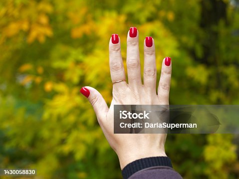 istock A woman's hand with a red manicure on a blurry autumn background. 1430058830
