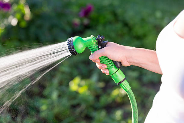 Woman's hand with garden hose watering plants, gardening concept Woman's hand with garden hose watering plants, gardening concept hose stock pictures, royalty-free photos & images