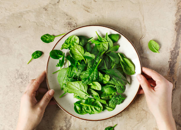 Woman's hands holding a plate with fresh spinach. stock photo