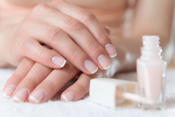 Womans hands with beautiful french manicure stock photo
