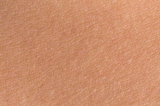 Woman's skin Woman's skin texture. Human skin closeup. Human skin background. human skin close up stock pictures, royalty-free photos & images