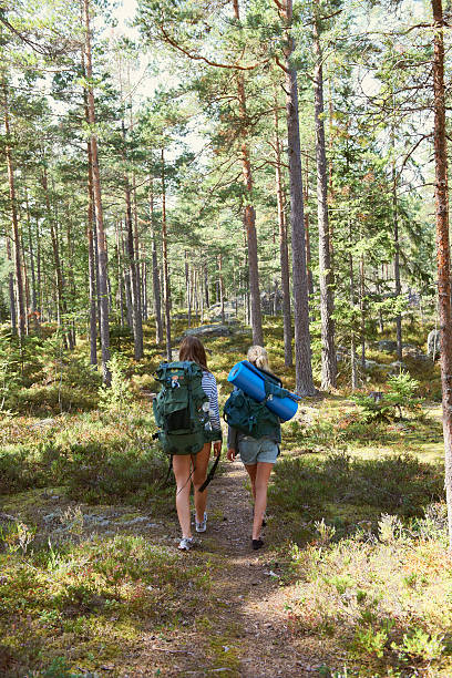 Women hiking in forest together  swedish girl stock pictures, royalty-free photos & images