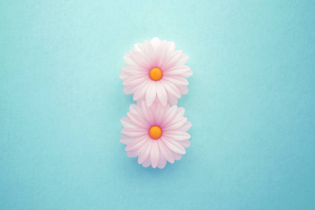 Women's Day message March 8 formed by white daisies over teal background. March 8 International Women's Day concept. Horizontal composition with copy space.
